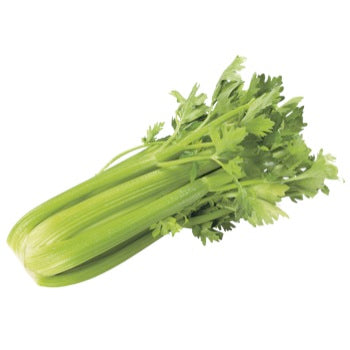 Céleri