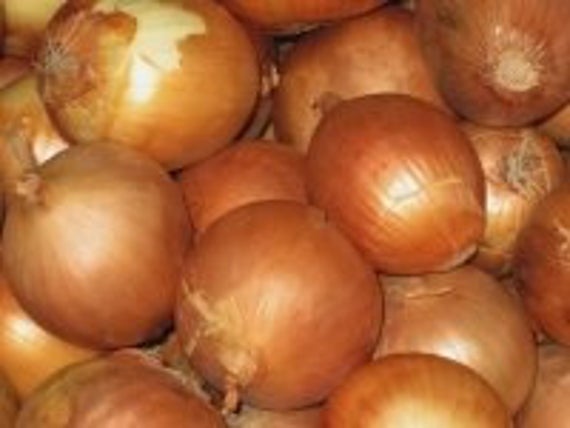 Oignon